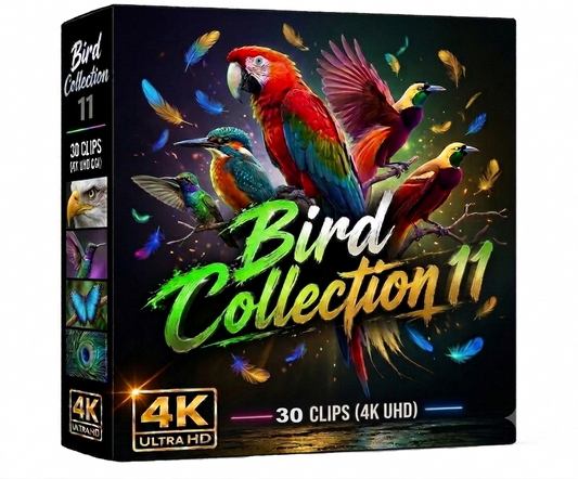 Creator Pack - 30 single clips of Birds Collection 11 (4K UHD)