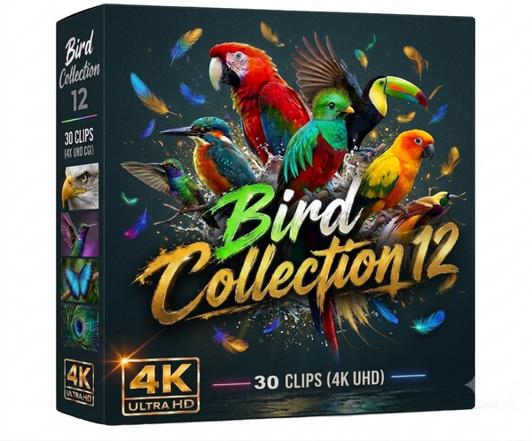 Creator Pack - 30 single clips of Birds Collection 12 (4K UHD)