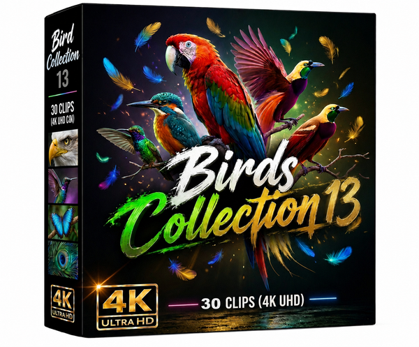 Creator Pack - 30 single clips of Birds Collection 13 (4K UHD)