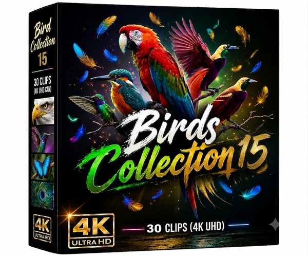 Creator Pack - 30 single clips of Birds Collection 15 (4K UHD)