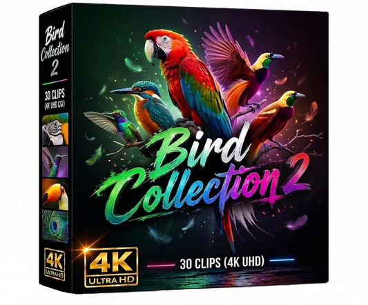 Creator Pack - 30 single clips of Birds Collection 2 (4K UHD)
