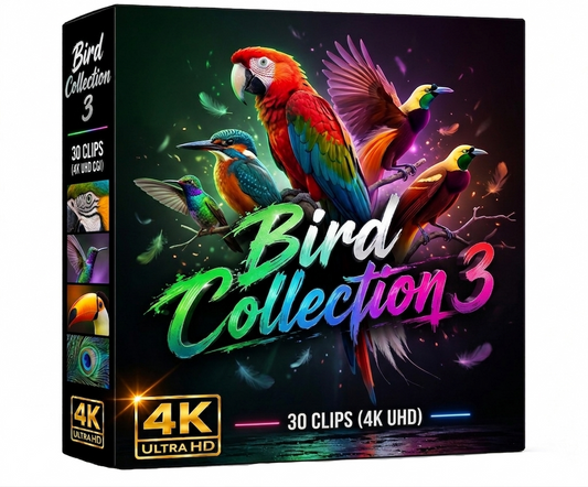 Creator Pack - 30 single clips of Birds Collection 3 (4K UHD)