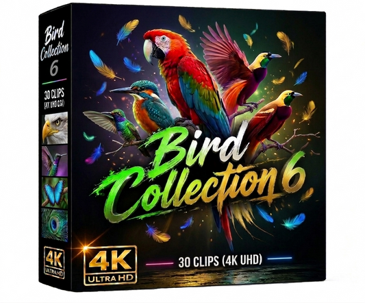 Creator Pack - 30 single clips of Birds Collection 6 (4K UHD)