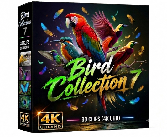Creator Pack - 30 single clips of Birds Collection 7 (4K UHD)
