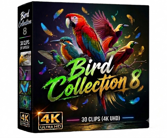 Creator Pack - 30 single clips of Birds Collection 8 (4K UHD)