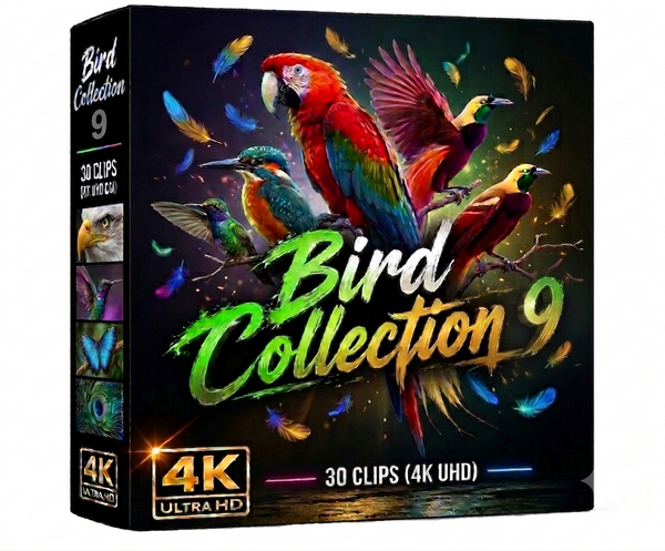 Creator Pack - 30 single clips of Birds Collection 9 (4K UHD)
