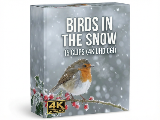 Creator Pack – Birds in the Snow 15 Clips (4K UHD CGI)