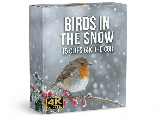 Creator Pack – 15 single clips of Birds in the Snow (4K UHD)