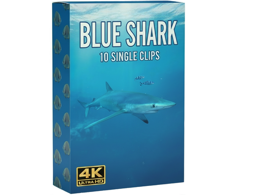 Blue Shark underwater commercial clips