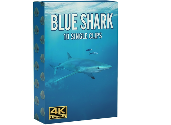 Blue Shark underwater commercial clips