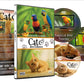 Cat Tv - Bird Collection