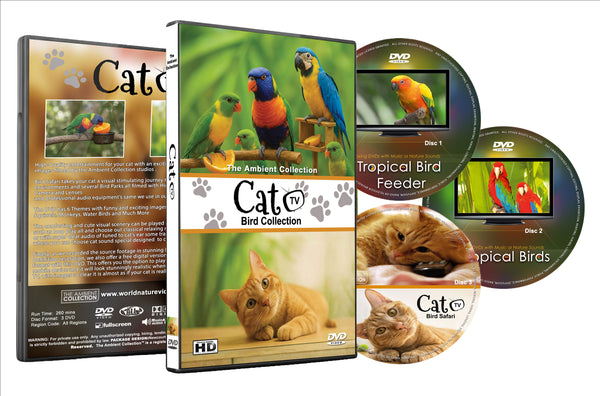 Cat Tv - Bird Collection