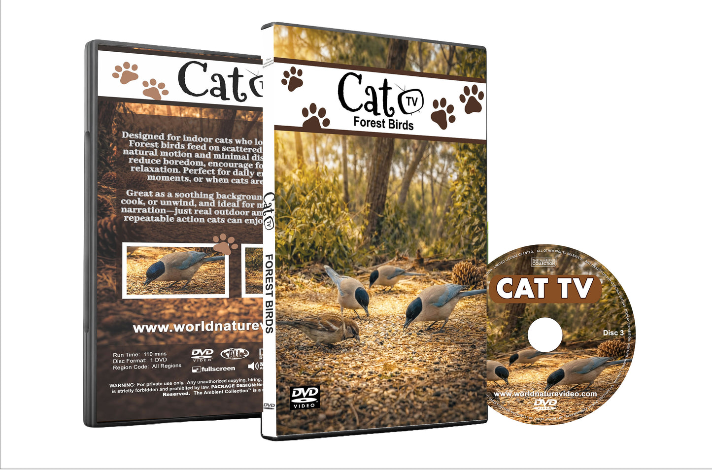 CAT TV – Forest Birds