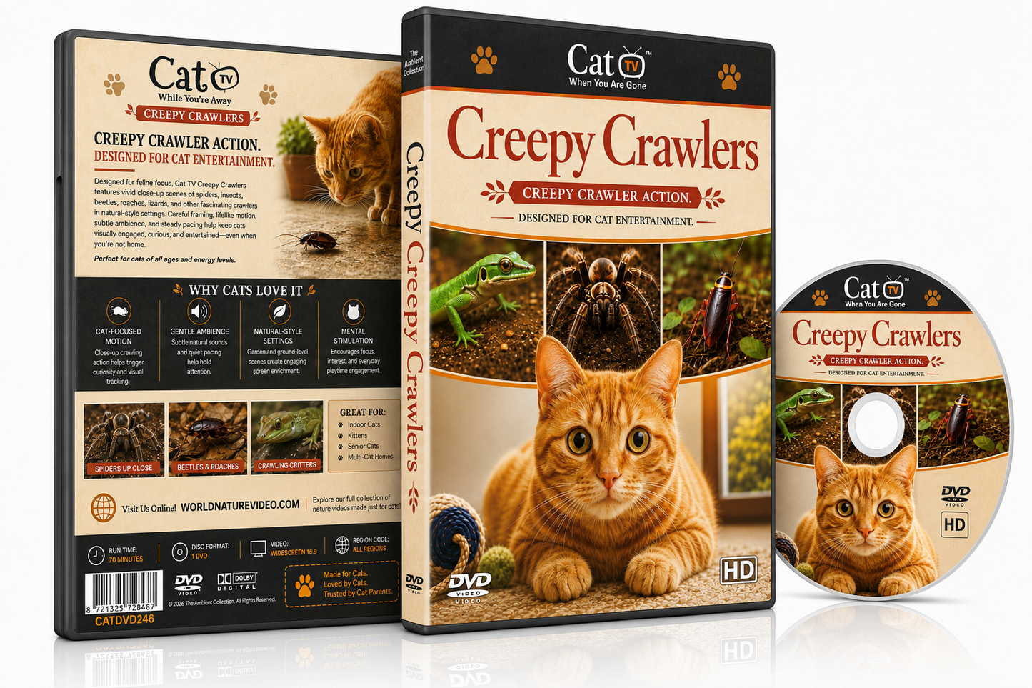 Cat TV - Cat Cafe - Creepy Crawlers