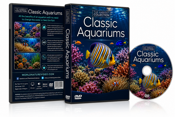 Classic Aquarium – Award-Winning Aquariums 🐠