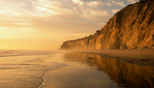Virtual Walk - California Best Running Beaches with Seabirds