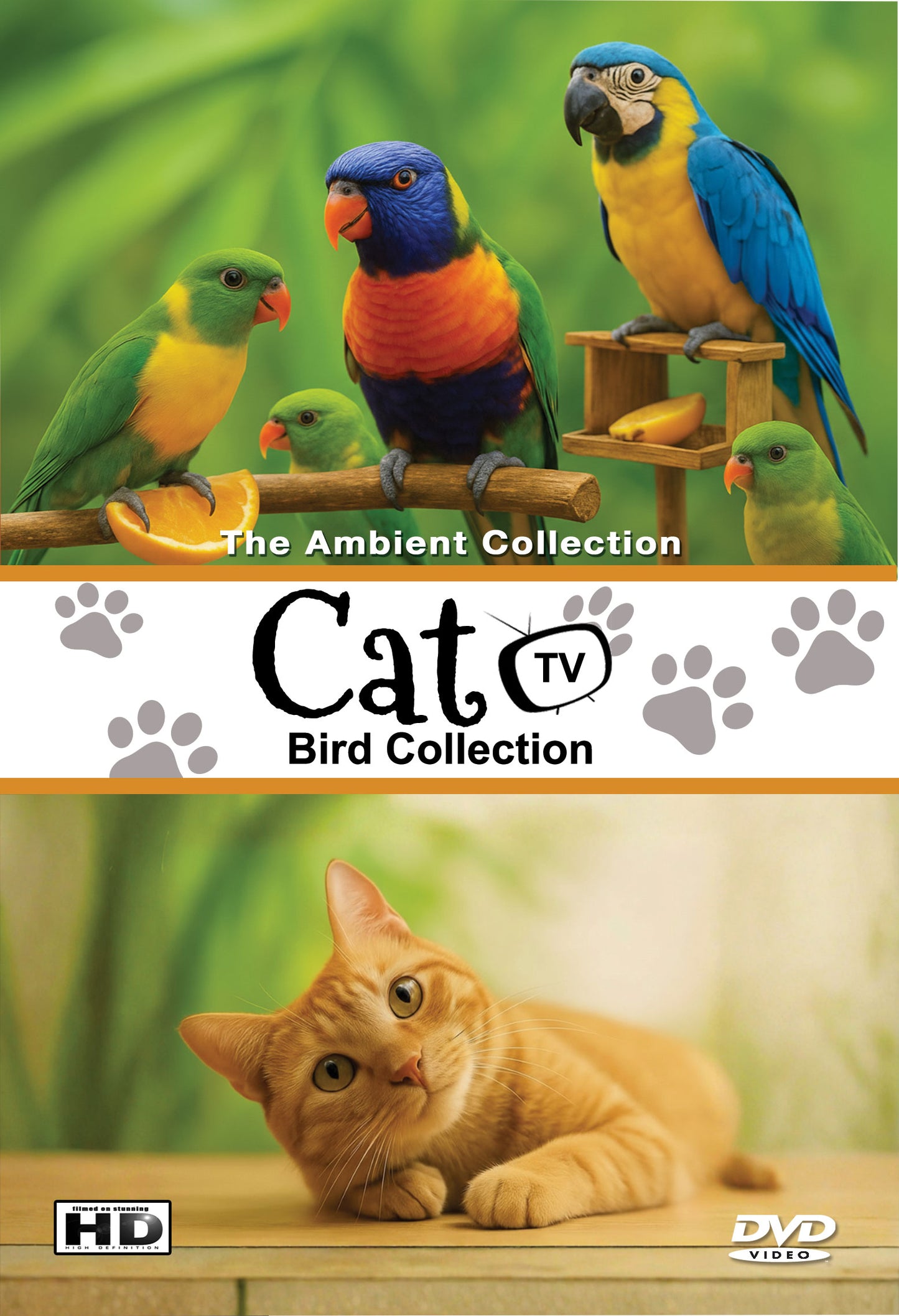 Cat Tv - Bird Collection