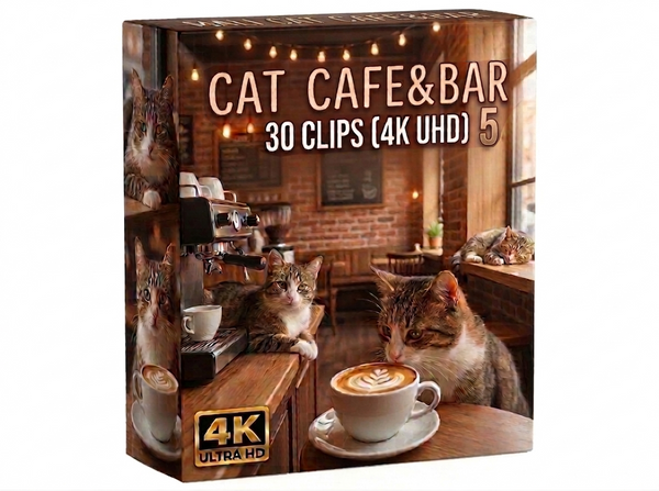 Creator Pack - 30 single clips of Cat Cafe And Bar 5 (4K UHD)