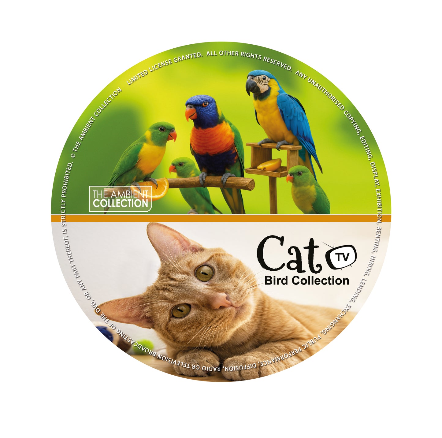 Cat Tv - Bird Collection