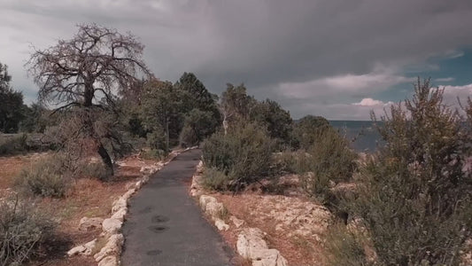 Challenge – 1,000 and 2,000 Steps Indoor Walking Workouts