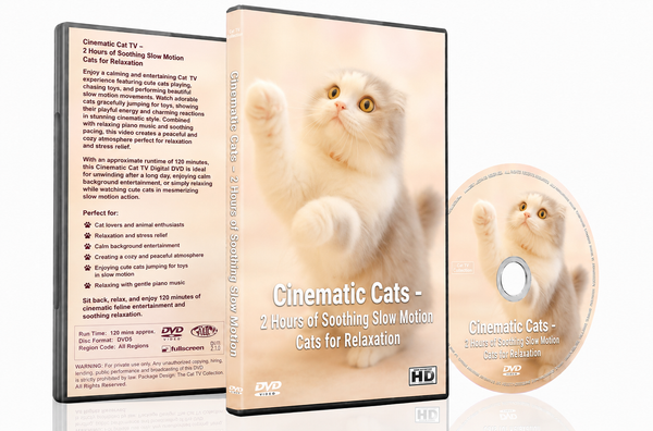 Cinematic CAT TV - 2 Hours of Soothing Slow Motion Cats for Relaxation