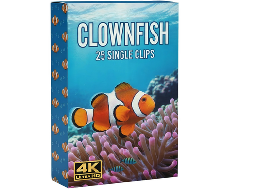 Creator Pack - 25 single clips of Clownfish (4K UHD)