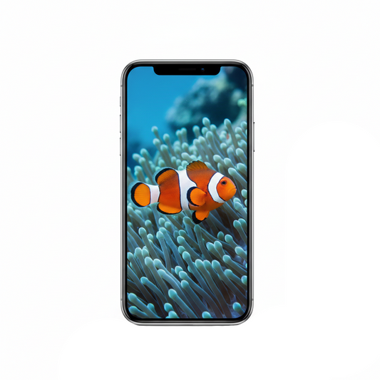 Vertical Creator Pack - 10 single clips of Clownfish (4K UHD)