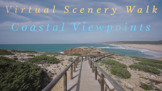 Virtual Walk - Perfect for Slow and relaxing Treadmill Workouts + Ocean Sounds