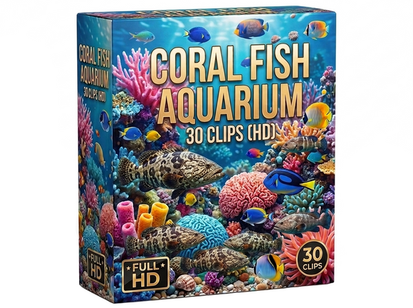 Creator Pack - 30 single clips of Coral Fish Aquarium (HD)