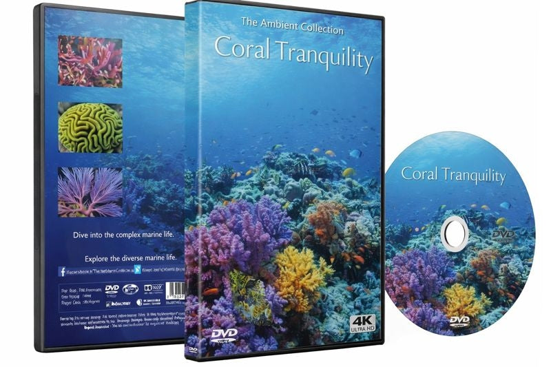 Coral Tranquility - The Beauty of Living Coral
