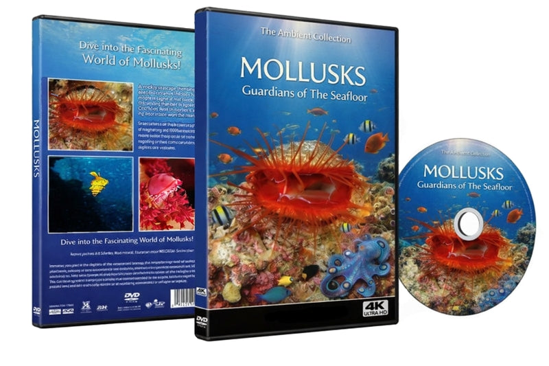 Mollusks - Guardians Of The Seafloor