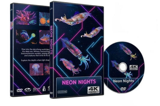 Neon Nights - The Glowing World of Underwater Creatures