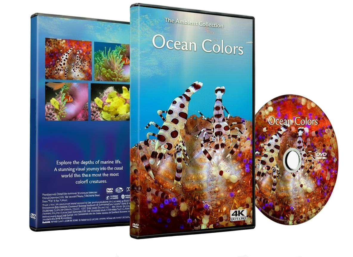 Ocean Colors - Colorful Marine Life in Natural Habitats