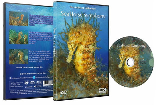 Seahorse Symphony - Rhythm Beneath the Waves