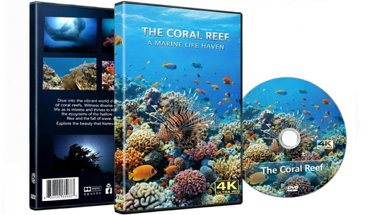 The Coral Reef - A Marine Life Haven