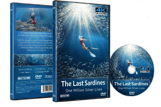 The Last Sardines - One Million Silver Lives
