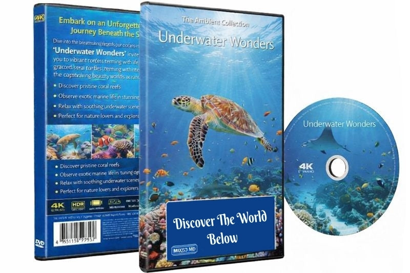 Underwater Wonders - Discover The World Below