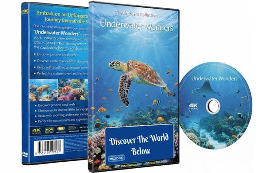 Underwater Wonders - Discover The World Below