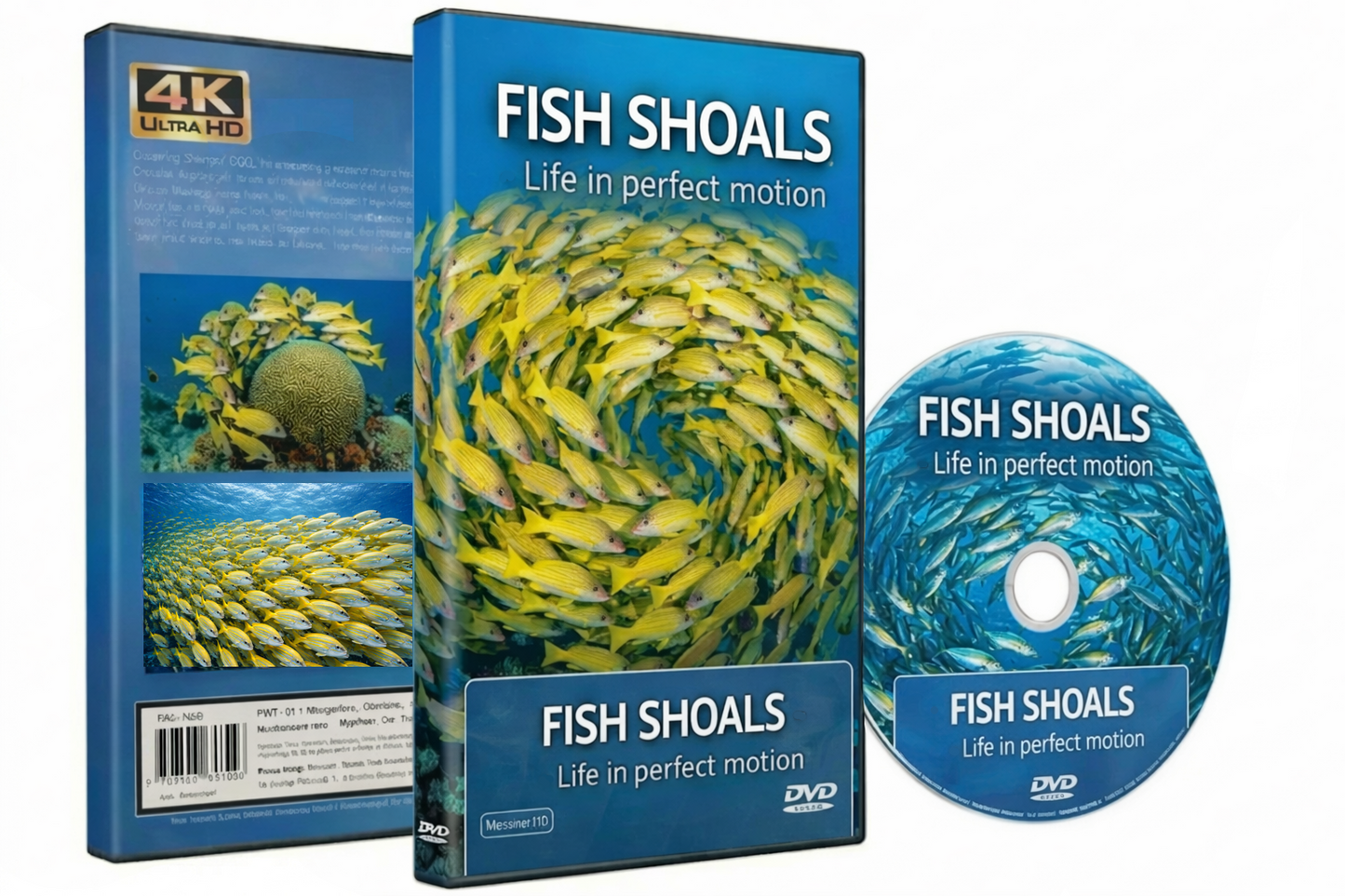 Fish Shoals- Live In Perfect Motion