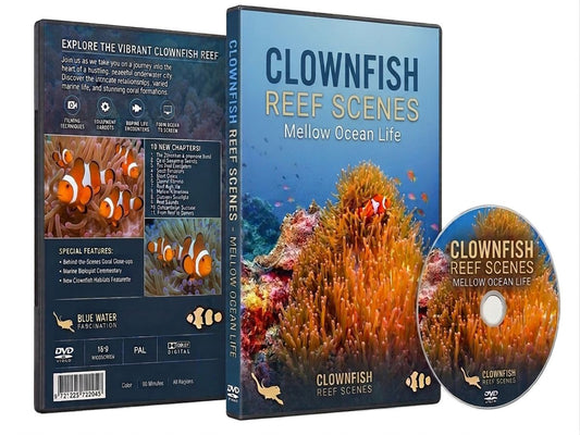 Clownfish Reef Scenes - Mellow Ocean Life