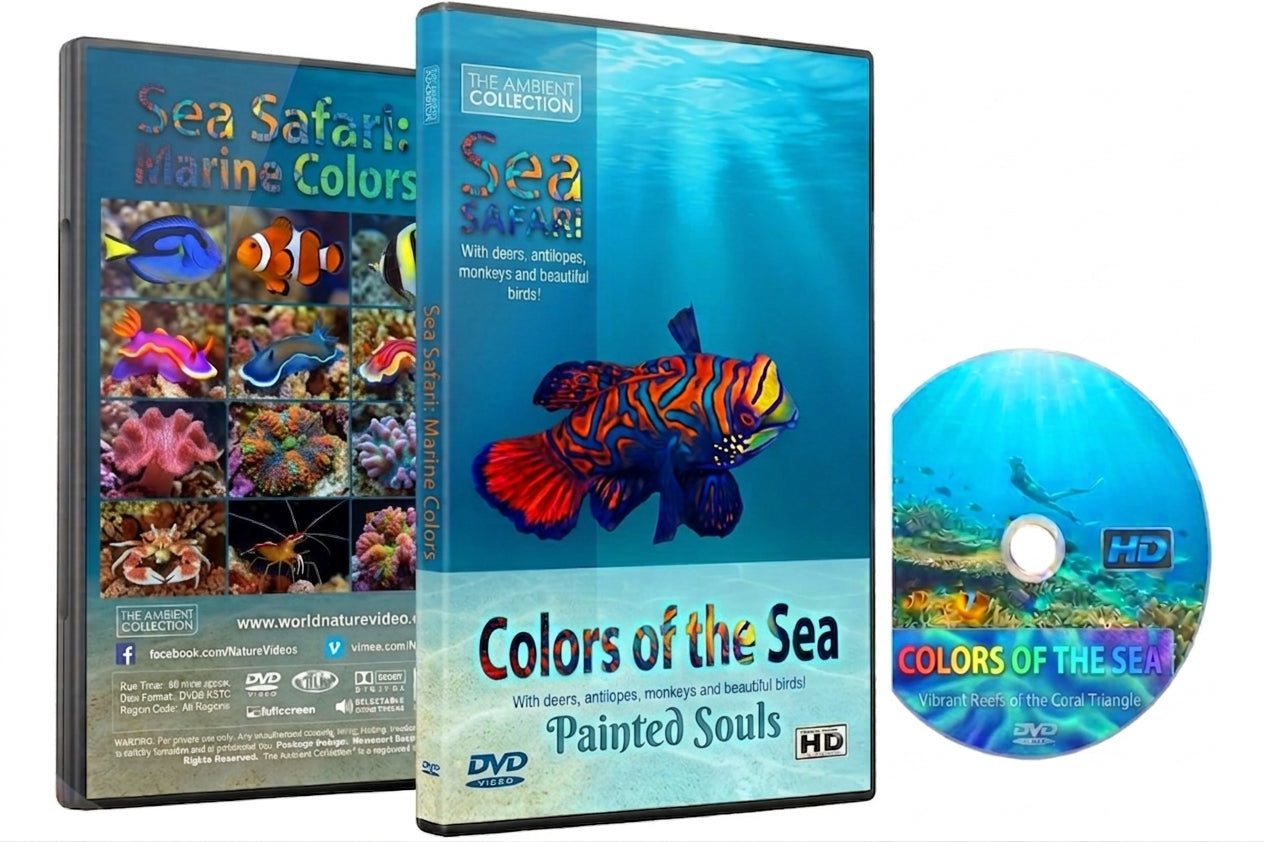 Colors Of The Sea - Painted Souls