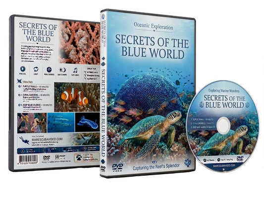 Secrets Of The Blue World