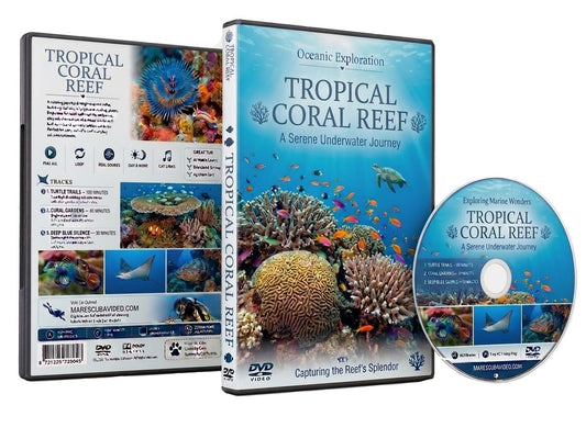 Tropical Coral Reefs - A Serene Underwater Journey