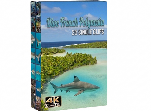 Creator Pack - 25 single clips of Dive French Polynesia (4K UHD)
