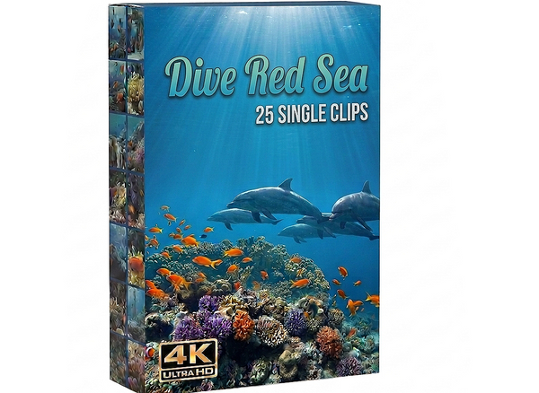 Creator Pack - 25 single clips of Dive Red Sea (4K UHD)