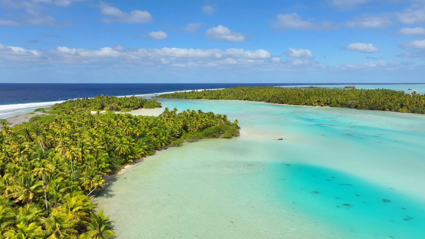 Dive French Polynesia- The Last Paradise