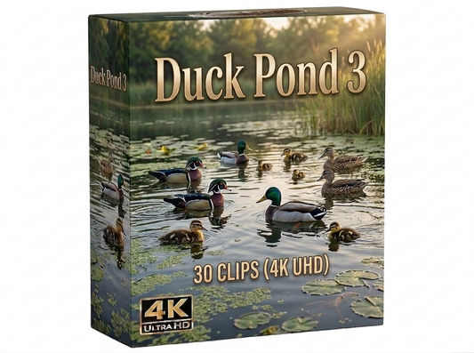 Creator Pack - 30 single clips of Duck Pond 3 (4K UHD)