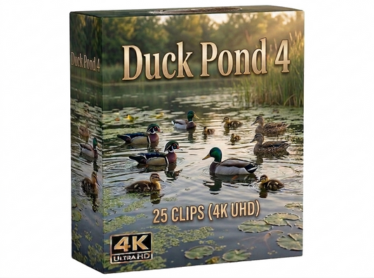 Creator Pack - 30 single clips of Duck Pond 4 (4K UHD)