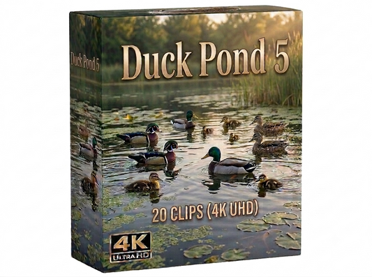 Creator Pack - 30 single clips of Duck Pond 5 (4K UHD)