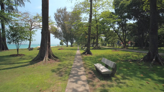 Virtual Cycle Rides - East Coast Park and Jurassic Mile Singapore